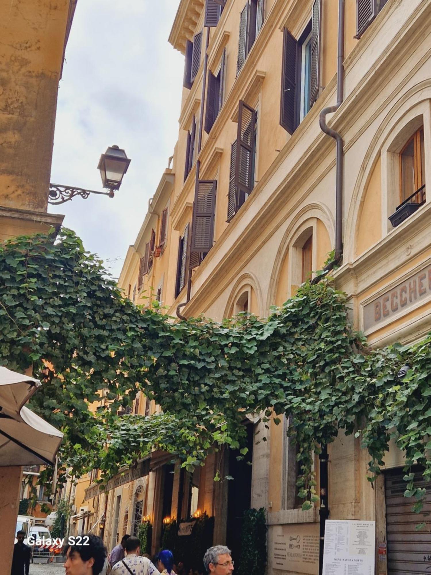 Tor Millina 4 Piazza Navona Apartment